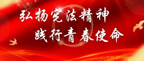 十二月团日活动指引 | 弘扬宪法精神，践行青春使命